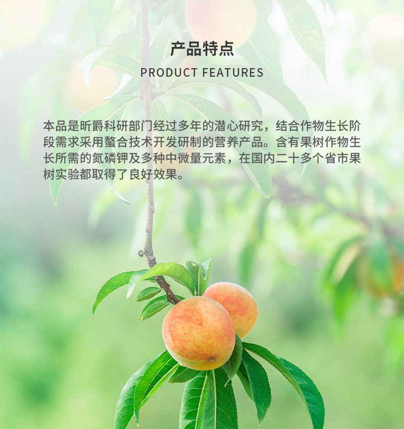 产品特点