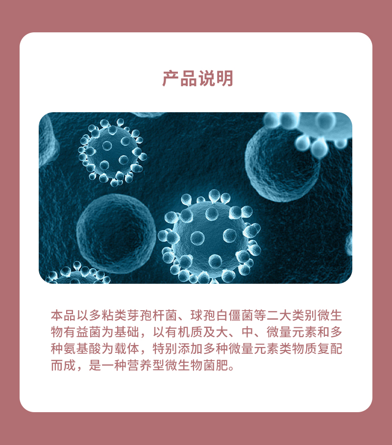 产品说明
