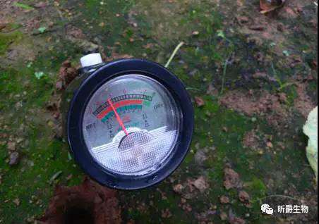 面临越来越严重的农耕土壤问题，农民朋友应该怎么解决？