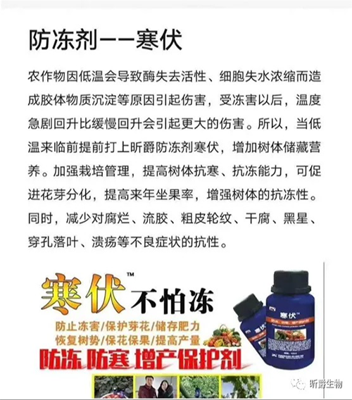 昕爵植物防冻剂寒伏，助力农作物顺利过冬